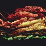 FurFiesta Organic Teaser & Wands for Cats B